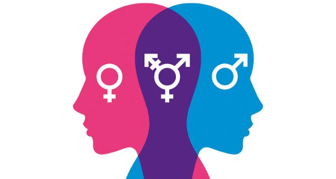 Określając płeć człowieka, nie można zatem polegać na biologii, a już na pewno na tym, co zostało w momencie urodzenia zapisane w dokumentach.