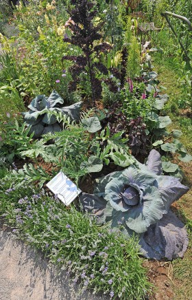 Hampton Court wyznacza modę w ogrodnictwie.