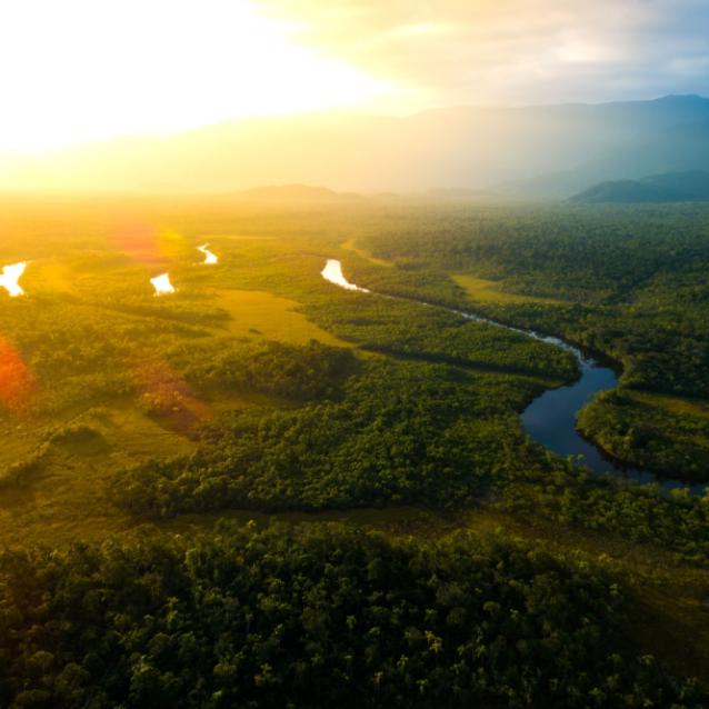 Amazonia
