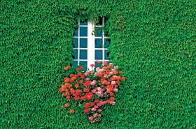 Małe kroki w masowej skali mogą zdziałać naprawdę wiele.