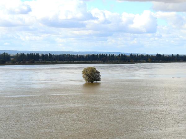 Gozdownice nad Odrą, 29 września 2024 r.