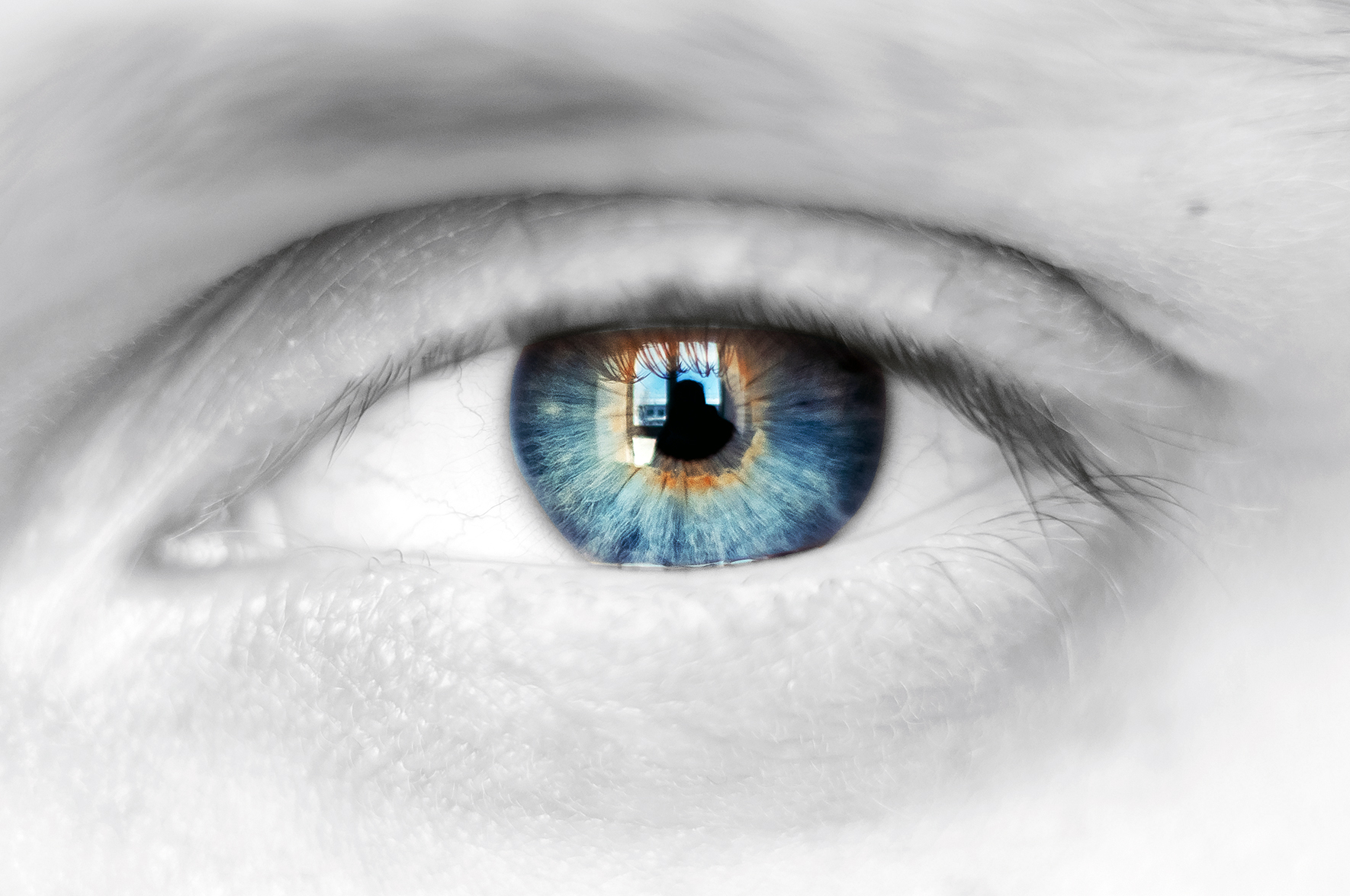 Oko nie tylko na oko. O spojrzeniach ludzi i innych naczelnych | Oko w oko