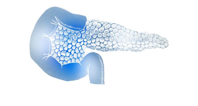 Pulsar - wyjątkowy portal naukowy.