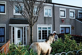 Belcamp – osiedle. Luke Brown, 12 lat, trzyma swojego konika w ogródku.