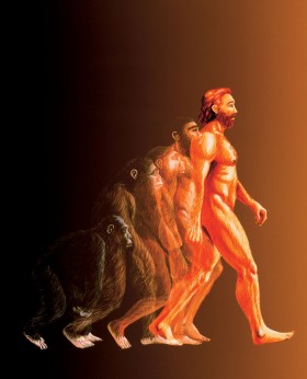 Linie rodowe szympansów i naszych przodków rozdzieliły się 6–7 mln lat temu.