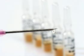 Przybywa osób odmawiających szczepień. Dzisiaj antyszczepionkowcy i zwolennicy medycyny alternatywnej rosną w siłę, organizują się w zamkniętych grupach na portalach społecznościowych, tworzą własny świat.