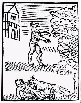 Demoniczny werwolf na niemieckim drzeworycie z 1590 r.
