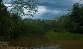 Rio Madidi, od której Park bierze swoją nazwę. Madidi wpływa do Rio Beni, ta do Rio Mamore. Z kolei Mamore do Madeiry, a ta do Amazonki.