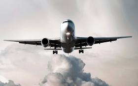 Linie lotnicze wydają ok. 300 mln dol. rocznie, żeby przystosować swoje samoloty do zapotrzebowań coraz cięższych klientów. Więcej łożą na przykład na paliwo.