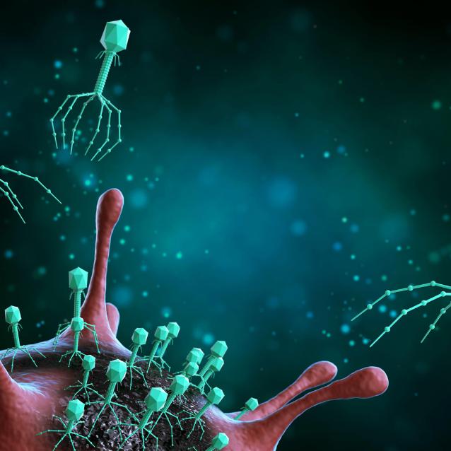 CRISPR/Cas u bakteriofagów może dać początek rewolucji