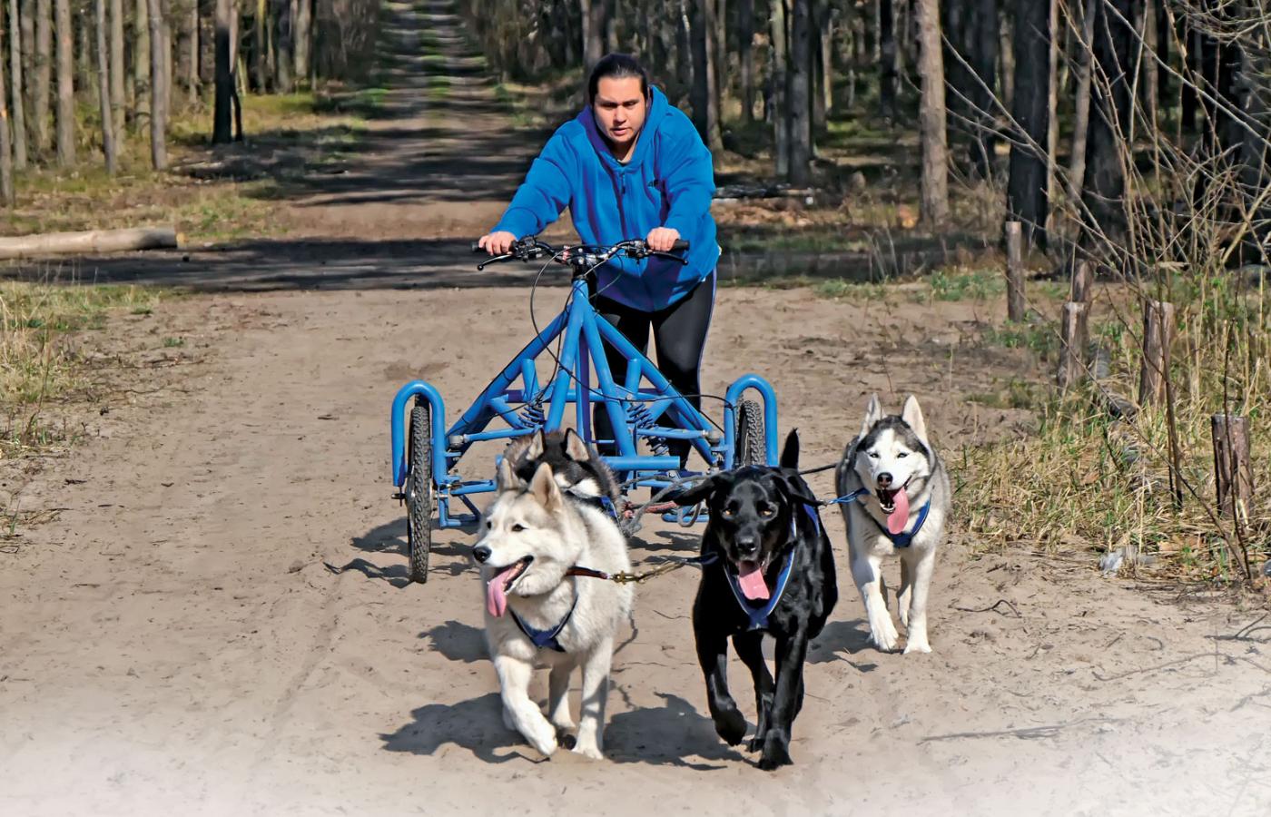 Justyna Gettel jest pierwszą w Polsce maszerką, która stworzyła zaprzęg ze schroniskowych psów po przejściach.