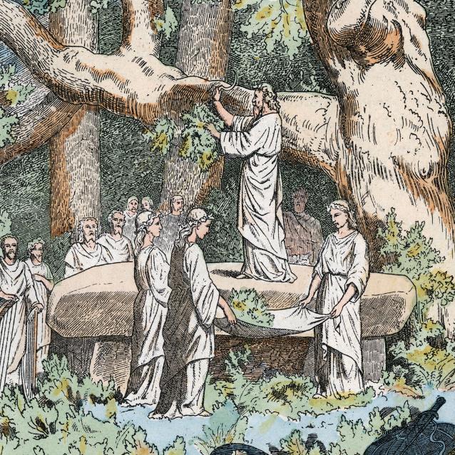 Święta jemioła – rycina z końca XIX w. przedstawiająca ceremonię ścinania jemioły przez druidów.