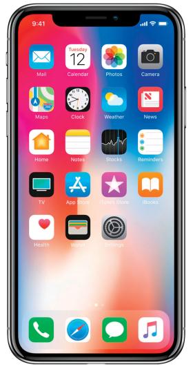 iPhone X