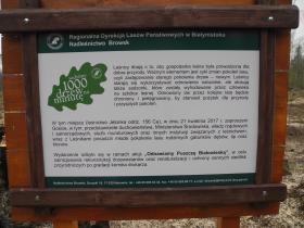 Zdjęcie tablicy pamiątkowej