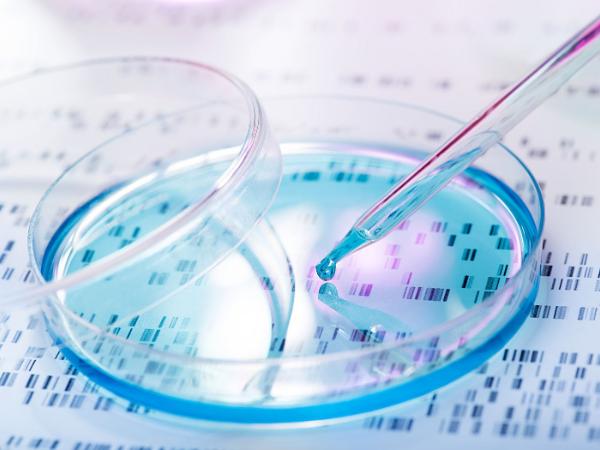 Tak, możemy robić naukę w Polsce.