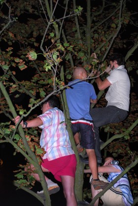 ...  lub trochę gorzej.