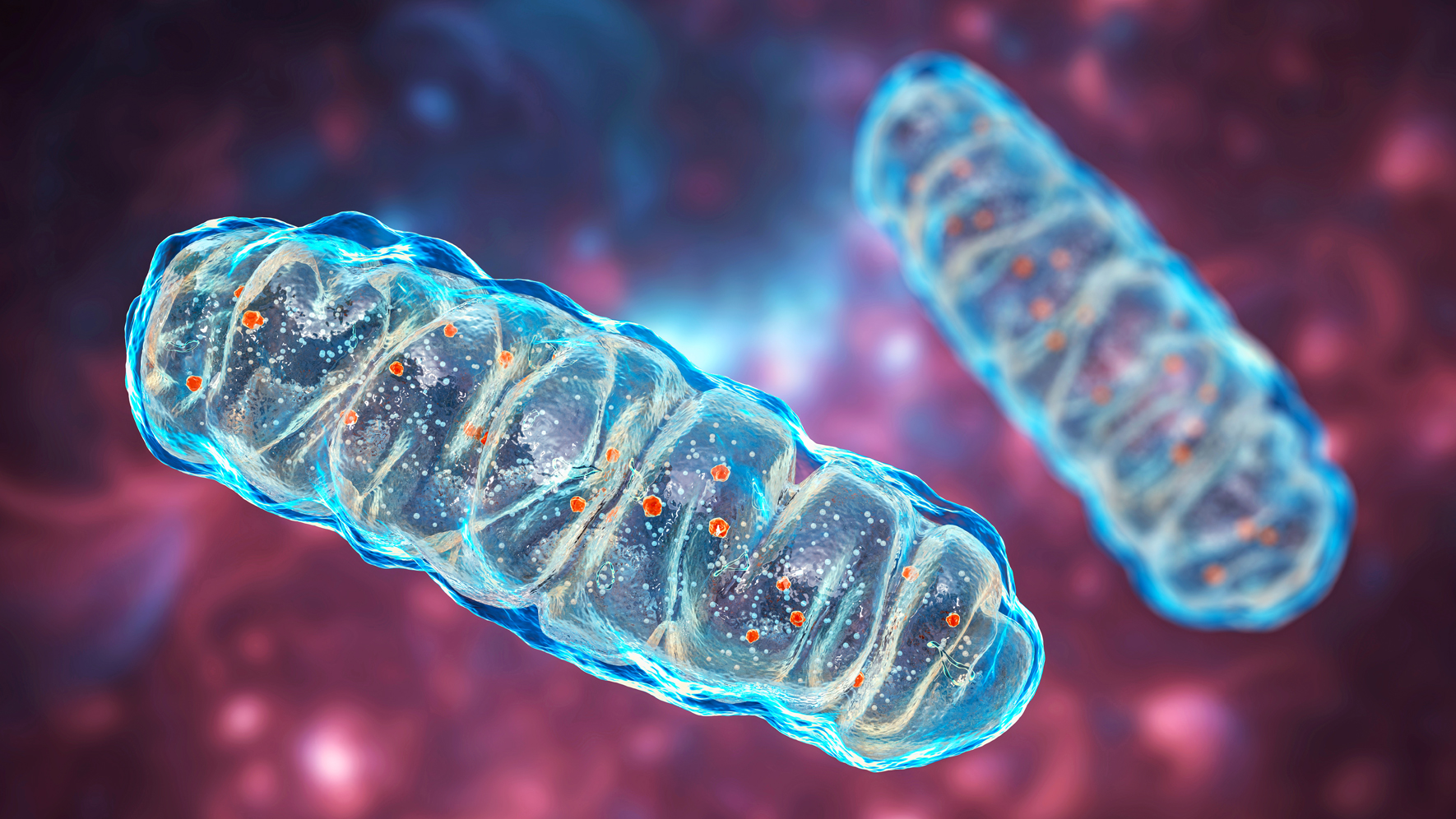 Dna I Horyzontalny Transfer Genów 8162