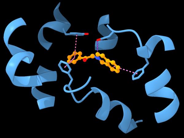 Wyniki działania DrugCLIP opublikowane w najnowszym wydaniu „Science” są imponujące. System przeanalizował możliwość wiązania ponad pół miliarda substancji chemicznych z niemal 10 tys. ludzkich białek.