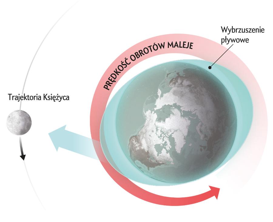 Przyciąganie grawitacyjne Księżyca i Słońca wywołuje pływy na Ziemi, których efektem jest tarcie stopniowo spowalniające obrót planety.