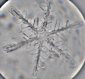 Obraz płatka śniegu pod mikroskopem.