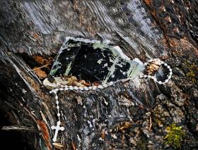 Brzoza w Smoleńsku z wbitym fragmentem skrzydła Tupolewa.