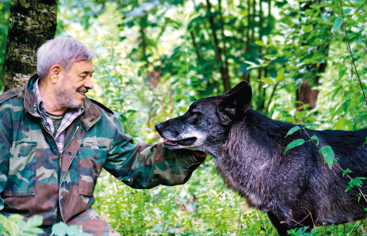 Werner z jednym ze swych pobratymców  – czarnym wilkiem kanadyjskim.