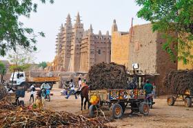 Dżenne, z największym na świecie glinianym meczetem; na północ stąd rozciągają się ziemie Tuaregów.