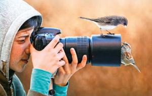 Słynne „destynacje” uginają się pod ciężarem własnej popularności.