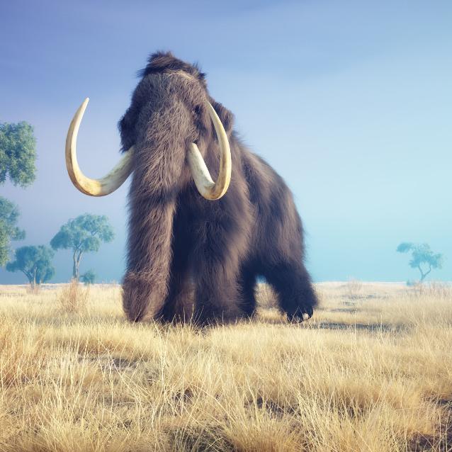 Pulsar - wyjątkowy portal naukowy.