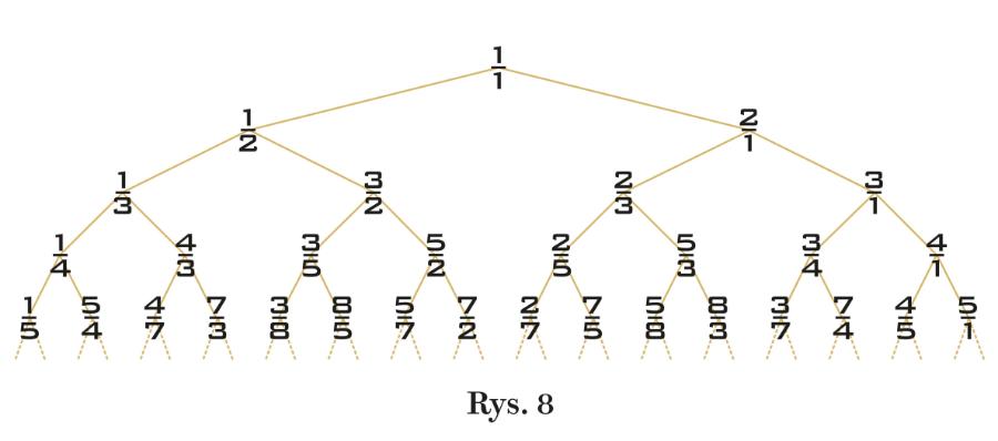 Rys. 8