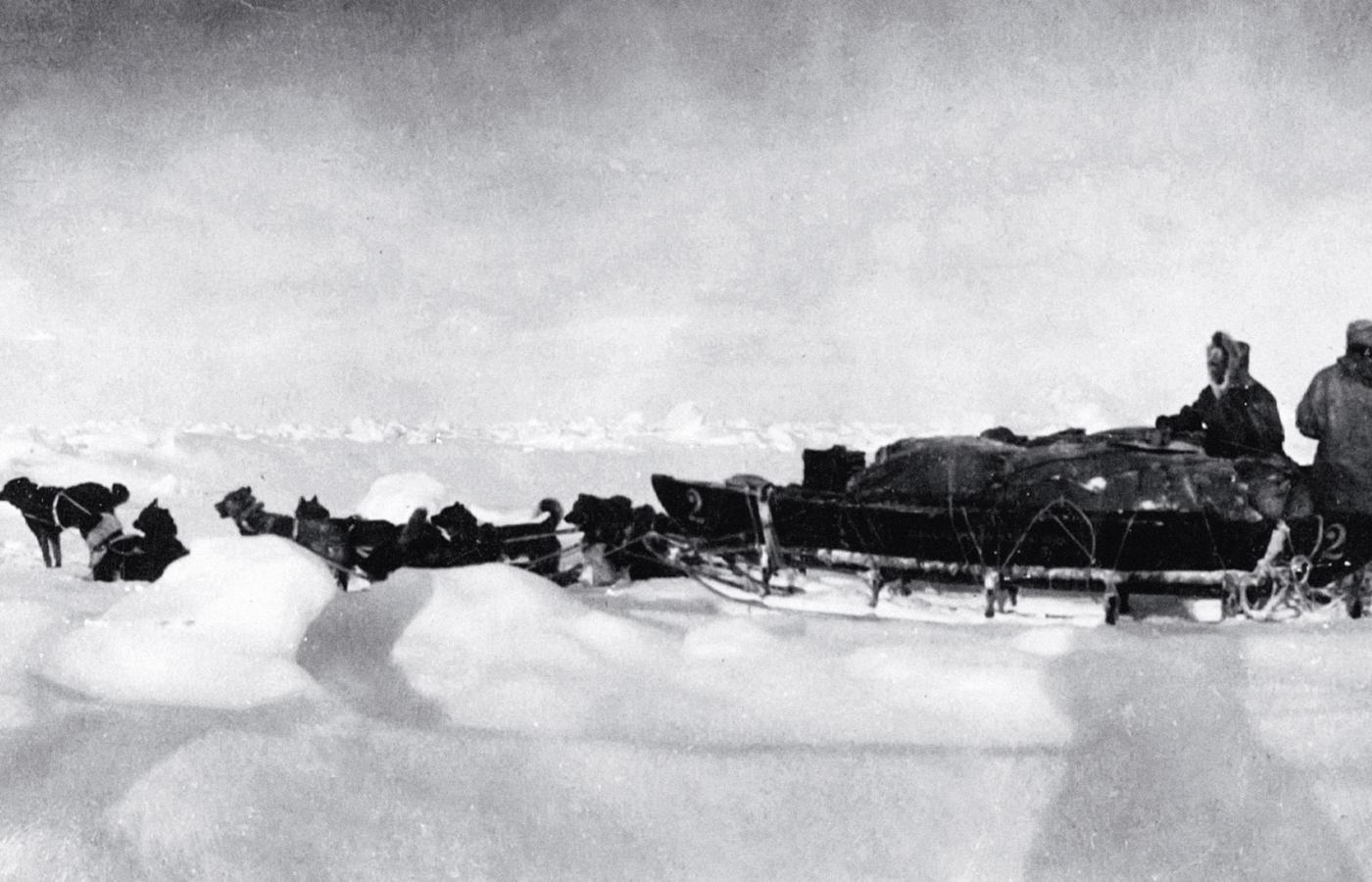 Ekspedycja Fredericka Cooka, amerykańskiego lekarza i badacza Arktyki, w drodze do bieguna północnego, 1908 r.