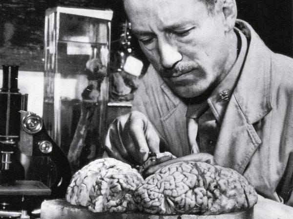 Neuropatolog Webb Haymaker z Wojskowego Instytutu Patologii bada mózg Roberta Leya, nazisty, który popełnił samobójstwo.