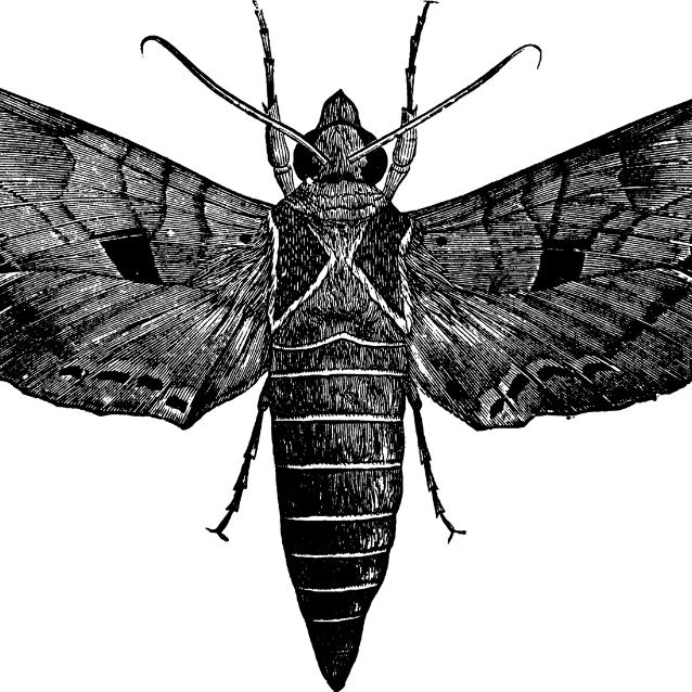 Pulsar - wyjątkowy portal naukowy.