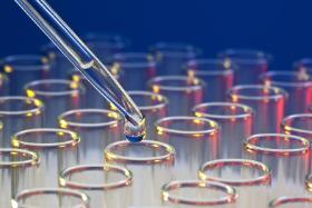 Co to jest etnos lub – wedle dzisiejszej nomenklatury – naród? Nie wiemy.