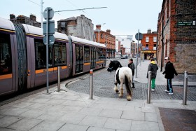 Na końskim targu w Dublinie jeszcze trzy, cztery lata temu transakcje opiewały na 4–6 tys. euro. Dzisiaj konie kupują głównie kilkunastoletni chłopcy z północnego Dublina, zwanego tutaj socjalnym. Po 60–80 euro za zwierzę.