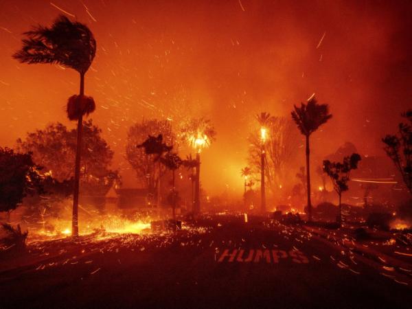 Potężny pożar na przedmieściach Los Angeles. 8 stycznia 2025 r.