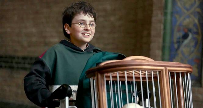 Zamiast kinowych widowisk otrzymamy serial telewizyjny o przygodach Pottera i spółki.