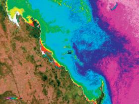 Wielka Rafa Koralowa (Barierowa), ciągnąca się wzdłuż północno-wschodniego wybrzeża Australii aż do Papui‑Nowej Gwinei, blaknie i umiera z powodu zbyt wysokich temperatur oceanu. Na zdjęciu satelitarnym widać ubytek chlorofilu (kolor różowy oznacza jego najmniejsze stężenie, czerwony – największe).
