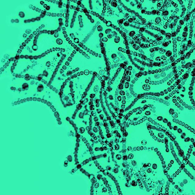 Pulsar - wyjątkowy portal naukowy.