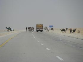 W Arabii Saudyjskiej oficjalną religią państwową jest islam wahabicki. To islam pustyni, bardzo surowy, oparty na karności.