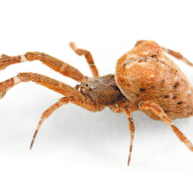 Pulsar - wyjątkowy portal naukowy.