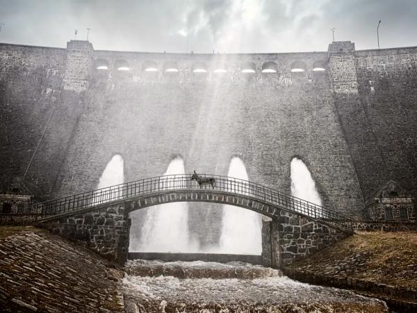 Kadr z filmu „IO”, reż. Jerzy Skolimowski