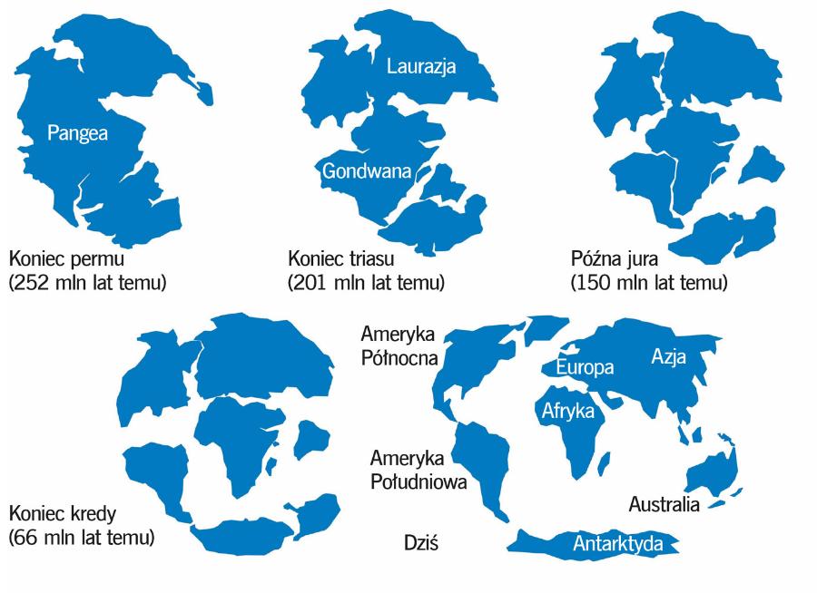 Wędrówki kontynentów w ciągu ostatnich ok. 250 mln lat. W tym czasie doszło do rozpadu Pangei i pojawienia się współczesnych lądów.