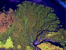 Delta Leny. Ma 150 ramion i powierzchnię 40 tys. km kw. Badacze z Harvardu odkryli, że wysoka zawartośc rtęci w wodach Oceanu Arktycznego pochodzi częsciowo z zanieczyszczeń atmosferycznych. Głównie jednak związki rtęci są nanoszone do oceanu przez rzeki.