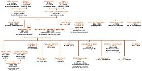 Drzewo genealogiczne Sobieskich.