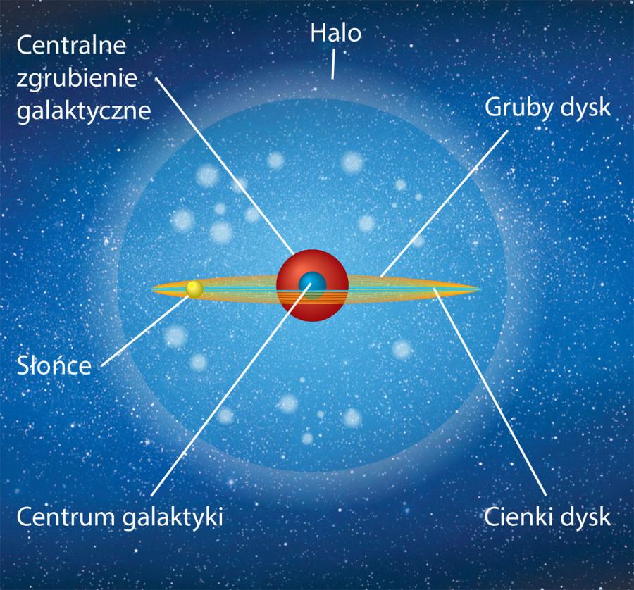 Schemat budowy naszej galaktyki. Gwiazd w halo może być więcej niż w głównym galaktycznym dysku.