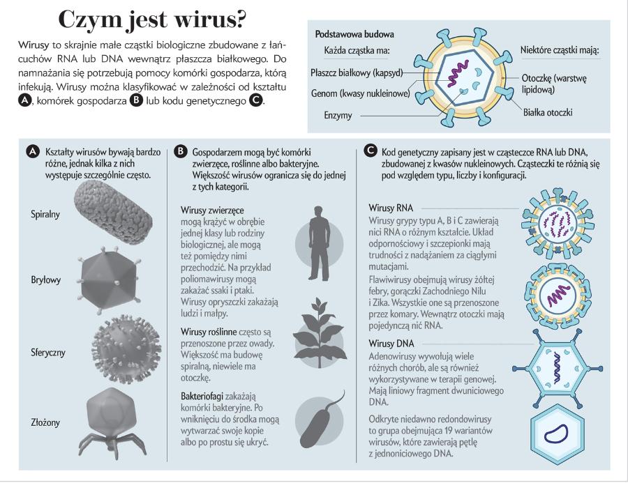 Czym jest wirus?