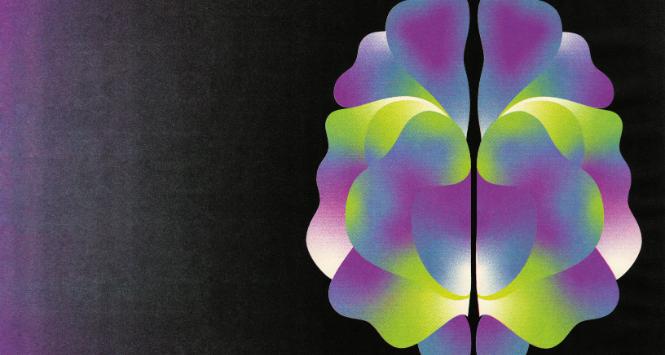 Pulsar - wyjątkowy portal naukowy.