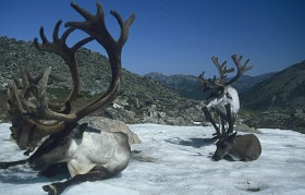 Zdany jest tylko na siebiei na swoje reny.