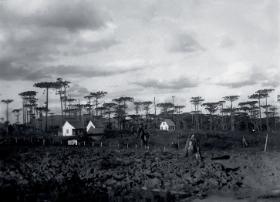 Pierwsze budynki polskiej kolonii Morska Wola (stan Parana), Brazylia, 1935-37 r.